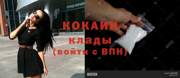 шишки Арсеньев