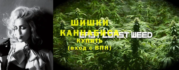 шишки Арсеньев