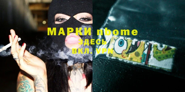 шишки Арсеньев