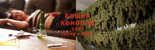шишки Арсеньев