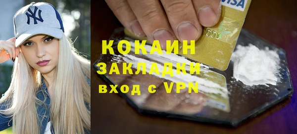 шишки Арсеньев